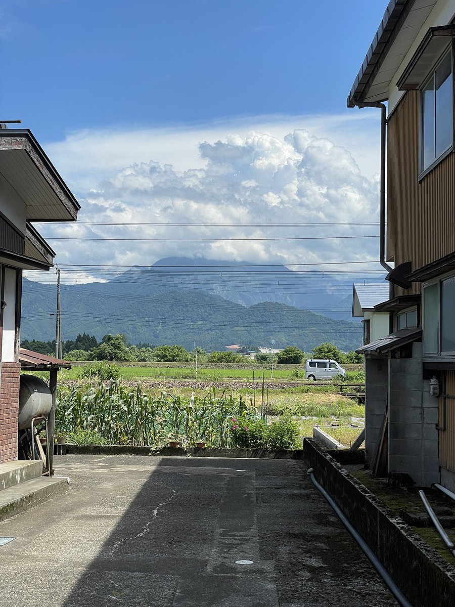 gcm (real) tweet media