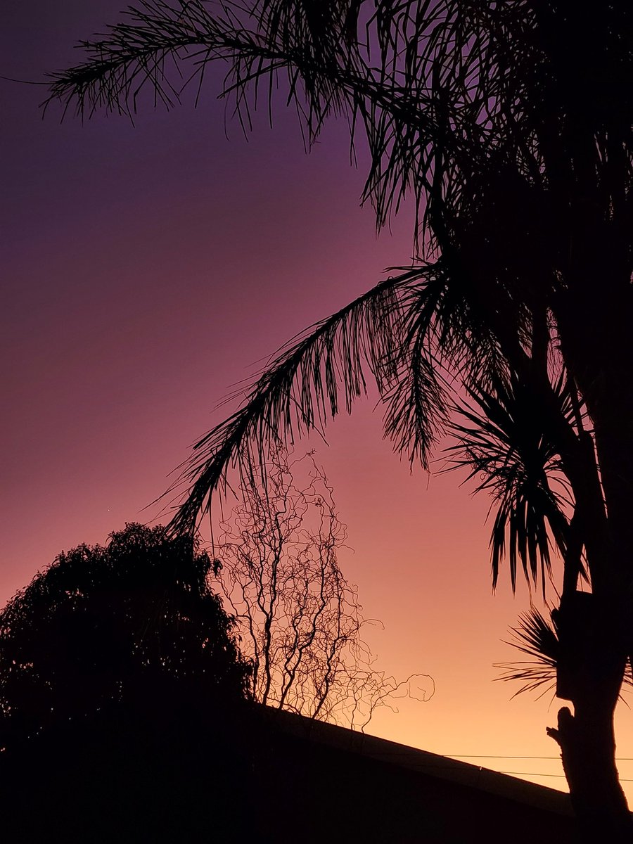 ChangeAgentSA's tweet photo. The sunrise was breathtaking this morning.. the perfect eay tonstep into chapter 8 of 2023...
Morning Warriors... wishing you blessings and abundance and a month of productivity and new beginnings...
#AugustLoading #BirthdayMonth ๐ https://t.co/MABtBDGr5C