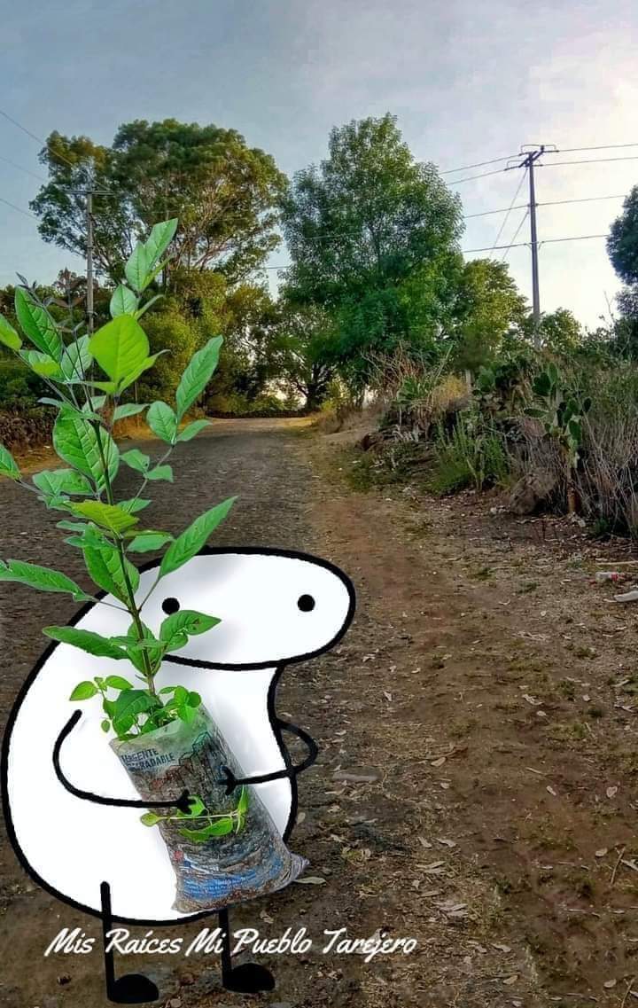 ribo82's tweet photo. Vámonos a plantar un árbol hoy ,mañana puede ser tarde. https://t.co/BkVOVCunLs