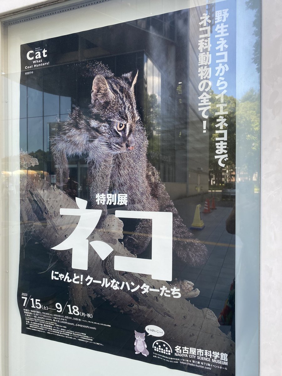 safetydrive703's tweet photo. 猫展🐈‍⬛ https://t.co/JdYdiiGiZv
