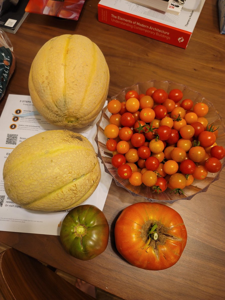 UrbanMiranda's tweet photo. Abundance!! https://t.co/XOCnHO94Cu