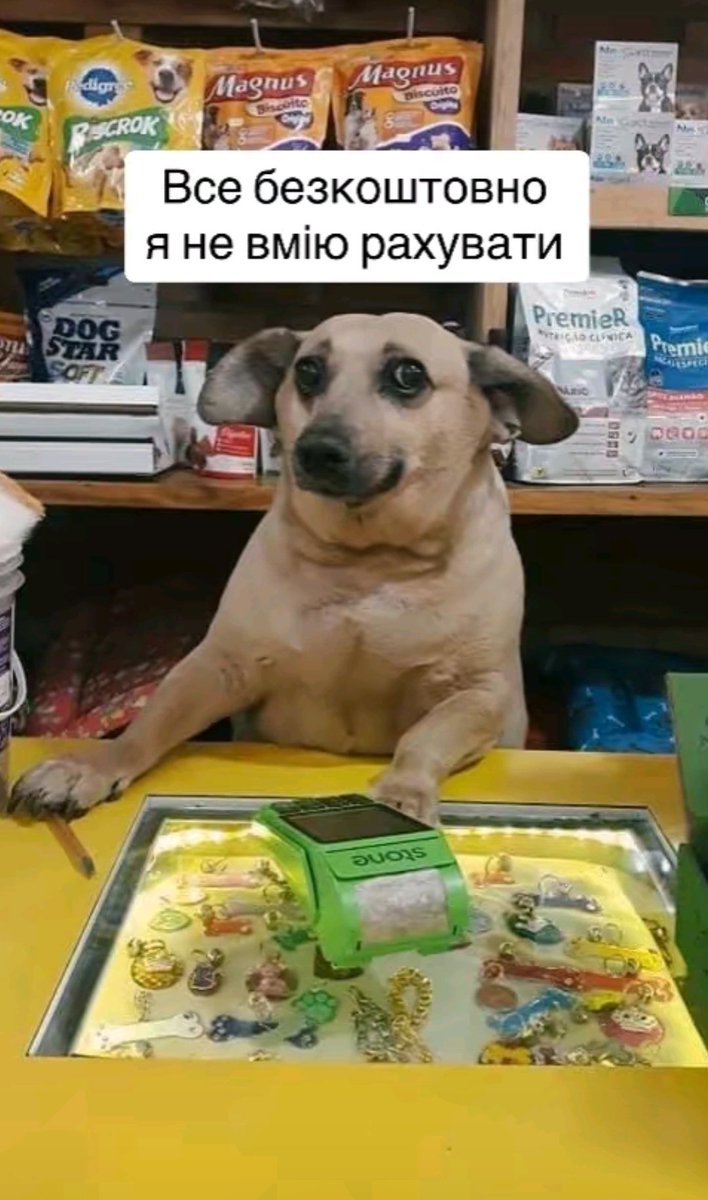 kimmin☽ tweet media