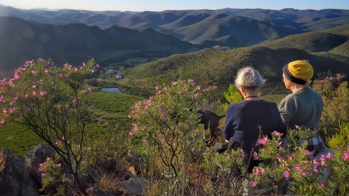 gotravelbug's tweet photo. While spending some time in Swartberg, I met Marie, a few weeks away from 80, and she takes on a hiking trail like it's a walk in the park. Marie owns "The Retreat" a magical mountain hideaway and hiking paradise near Calitzdorp. ❤️❤️
https://t.co/PV8AkBZ5n0 https://t.co/p2ppaK2oe5