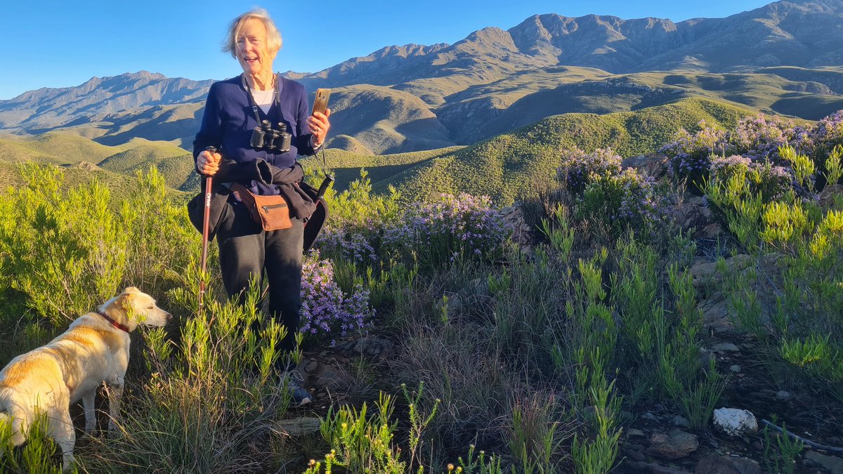 gotravelbug's tweet photo. While spending some time in Swartberg, I met Marie, a few weeks away from 80, and she takes on a hiking trail like it's a walk in the park. Marie owns "The Retreat" a magical mountain hideaway and hiking paradise near Calitzdorp. ❤️❤️
https://t.co/PV8AkBZ5n0 https://t.co/p2ppaK2oe5