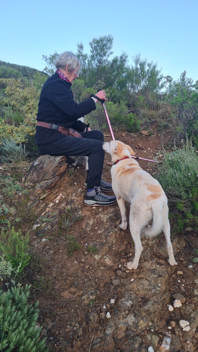 gotravelbug's tweet photo. While spending some time in Swartberg, I met Marie, a few weeks away from 80, and she takes on a hiking trail like it's a walk in the park. Marie owns "The Retreat" a magical mountain hideaway and hiking paradise near Calitzdorp. ❤️❤️
https://t.co/PV8AkBZ5n0 https://t.co/p2ppaK2oe5