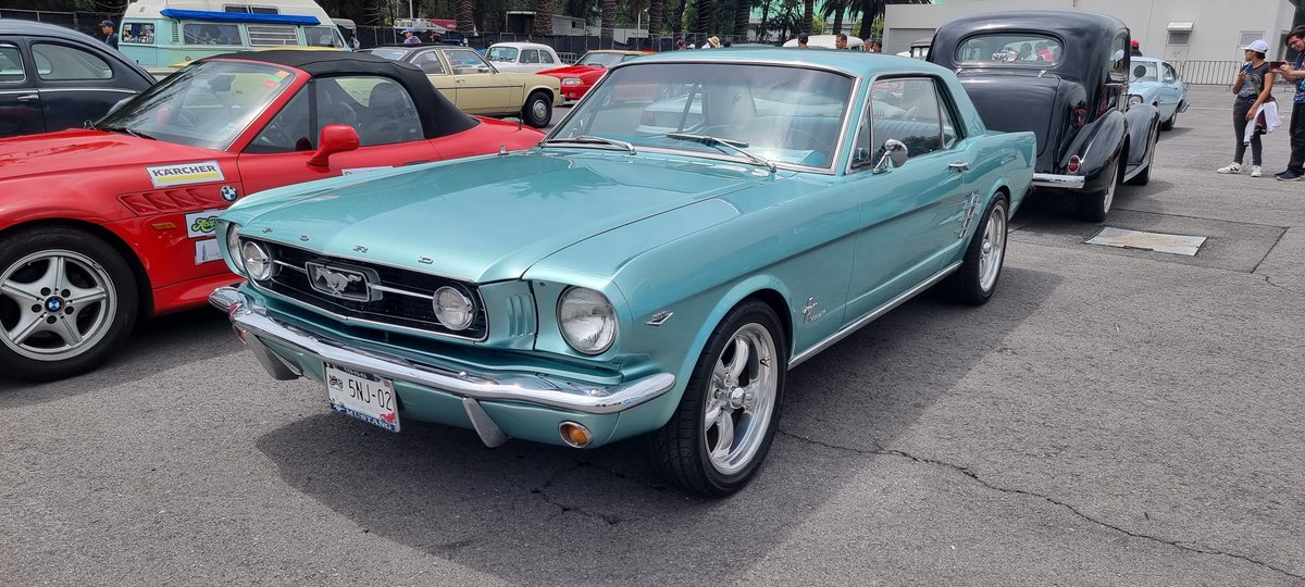 revSomosCusom's tweet photo. #MRM #ANCM #KRMC #mustanglatam #familymustang #worldofmustang #mustang #v8werk #V8 #kor6 #prmseguros  #RevistaSomosCustom #dgrtriumph https://t.co/srioJGAyNQ