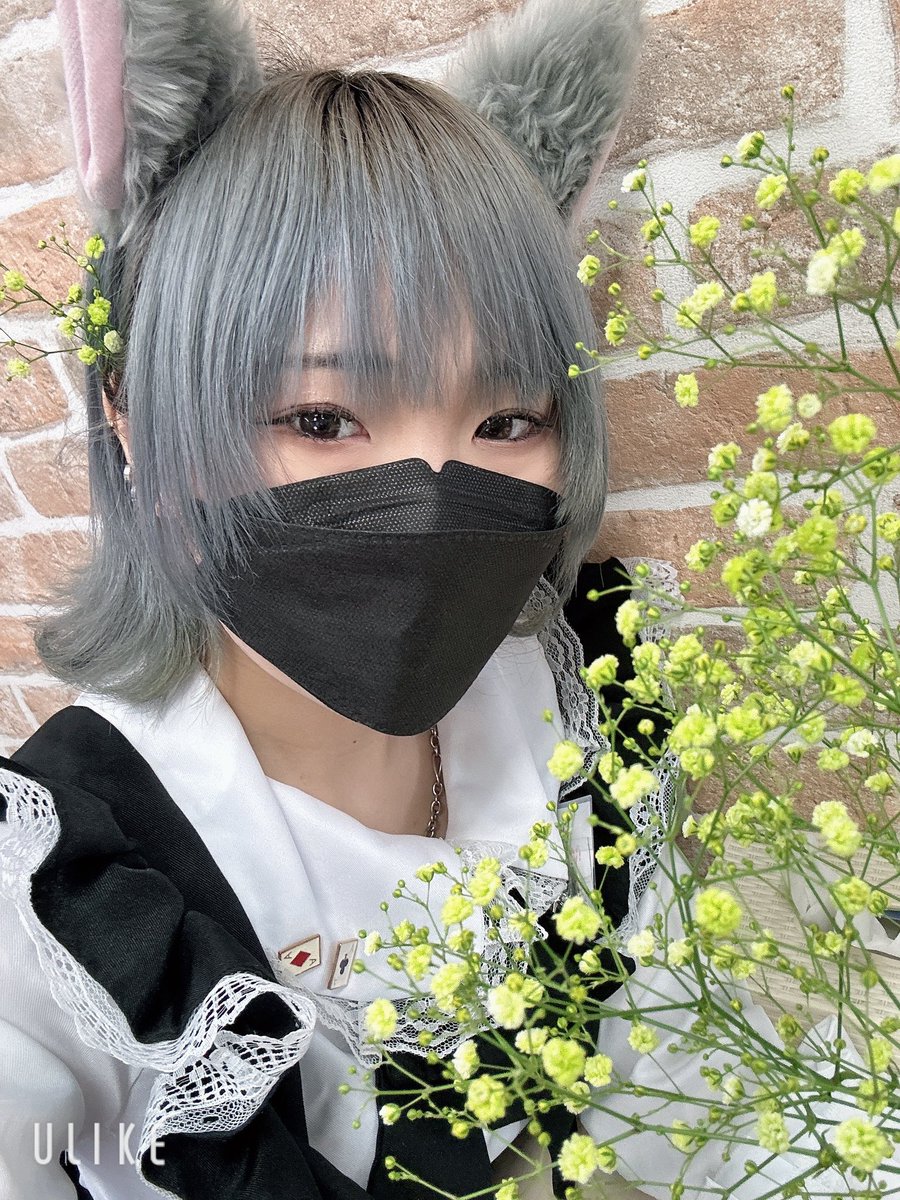 mc_jupiter's tweet photo. おはようございます🐴
かなです🐴
花です🌸🌿

本日は15時、18時から
トーナメントがございます‼️
ぜひご参加ください🔥🔥

今日から8月ですね🌴✨️
まだまだこれから
暑くなりますので
皆様熱中症などには気をつけて
お越しください🥵👣

本日もご帰宅お待ちしております🏠
#ポーカー
#テキサスホールデム
#カジノ
#コンカフェ
#大阪日本橋