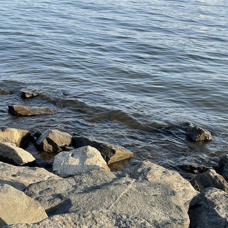 cctaquito! tweet media