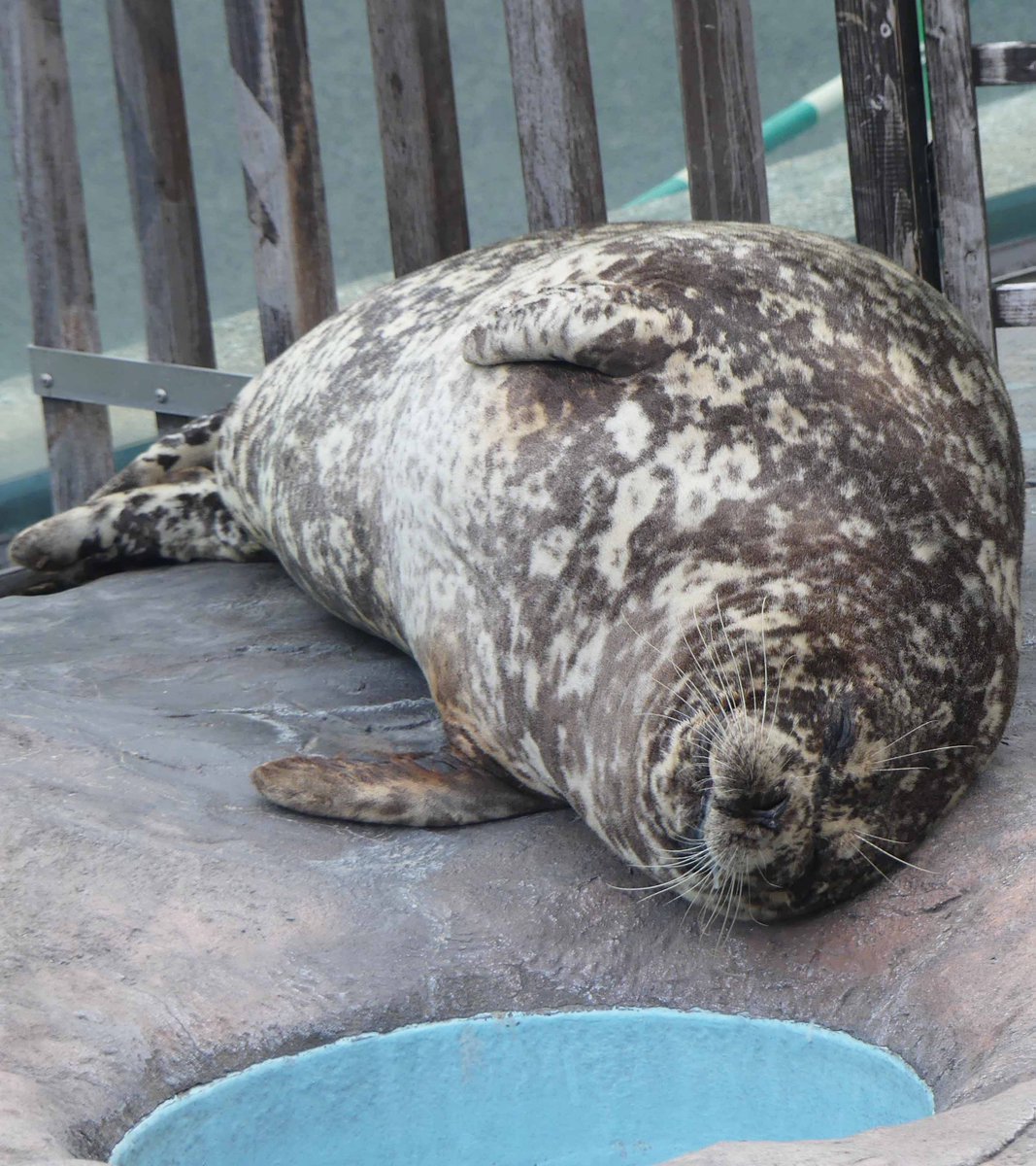 上野動物園［公式］ on X