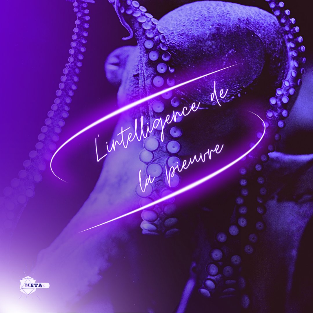 Metatvlive's tweet photo. 🐙✨ La Pieuvre, un animal totem énigmatique 🌊🔮 Symbole de sagesse, d'adaptabilité et de transformation intérieure. Elle nous enseigne la fluidité face aux défis de la vie et l'importance des liens harmonieux avec les autres. 🌀🌌

Rejoignez-nous sur Meta Live Tv 🪐✨ https://t.co/Sr6f0CsW3Z