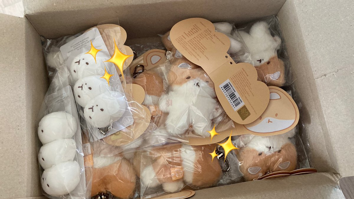 Dain_luv's tweet photo. 드디어 백현이 터래기 키링 도착🥹 완전 와글와글 터래기에..~~ https://t.co/lwT4oTcUKj
