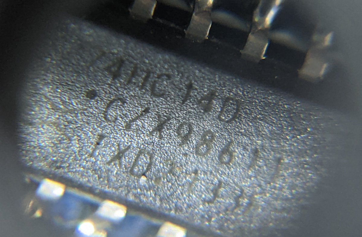 Cannibal 🎃 tweet media