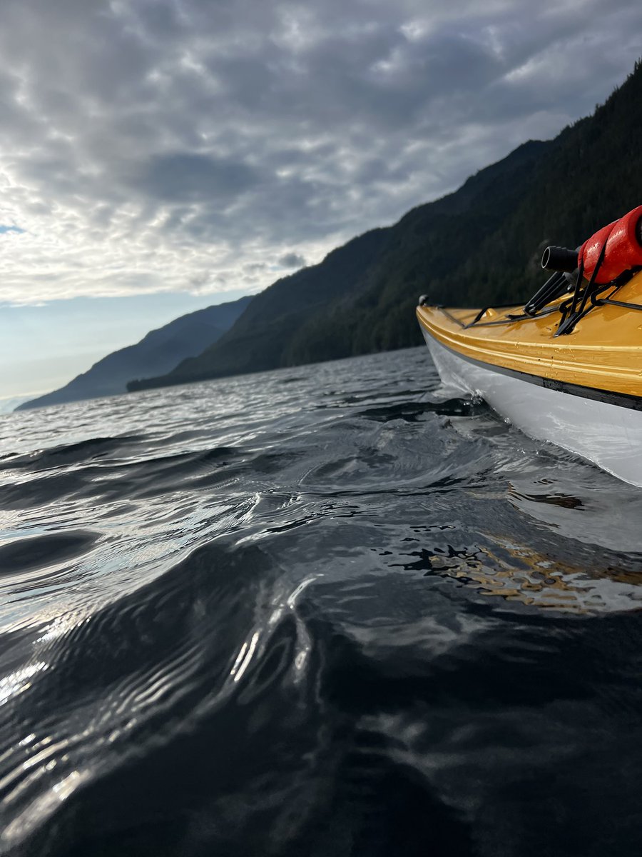 SeaKayakTours's tweet photo. Kayak Vacations 🌟💫 #OrcaCamp #greywolfexpeditions #9주년도_레드벨벳이랑_가보자9 https://t.co/3fgjwsiozC
