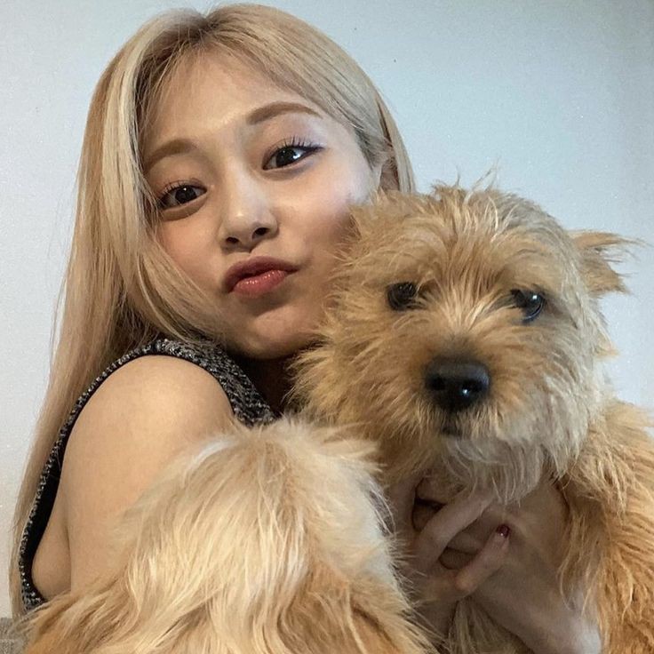 avitzui's tweet image. hi I'm avi ❕

- filo she/her 'minor 
- new to #stantwt / #kpoptwt 
- multi, any fandom will do &amp;lt;3  

↻ / ♡ are much appreciated , ifb