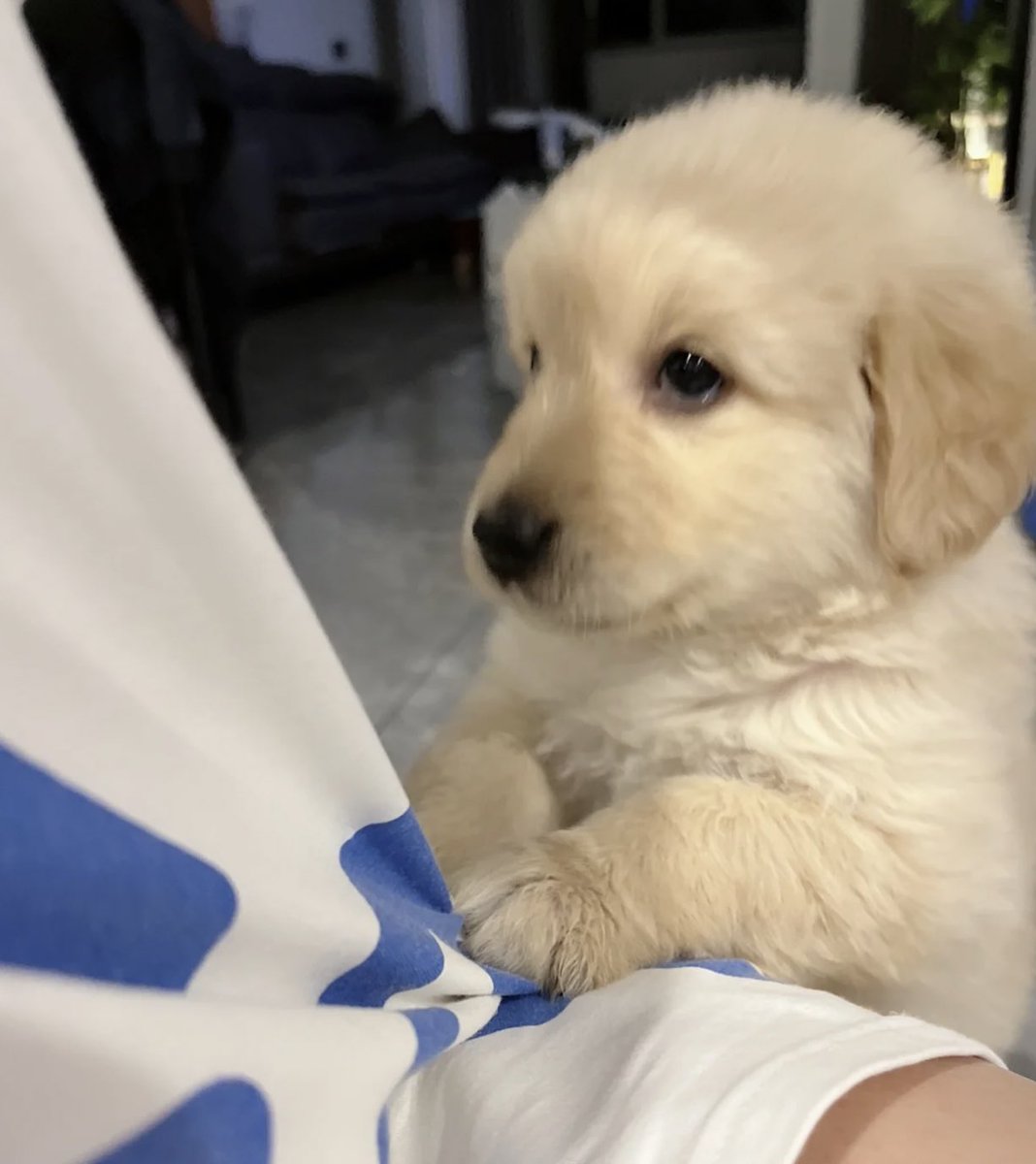 dogonboo's tweet photo. หายงอนด้ายมาย https://t.co/Pv01JeyqSI
