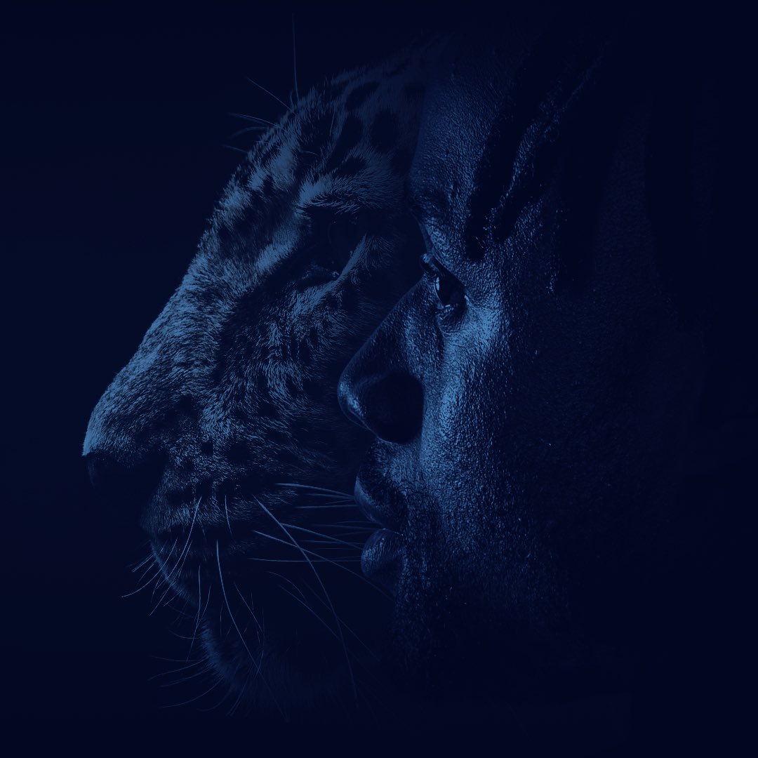 pyramidsfc's tweet photo. 🐆🔵⚽
#بيراميدز | #MayeleXPyramids https://t.co/qSldacFFI5