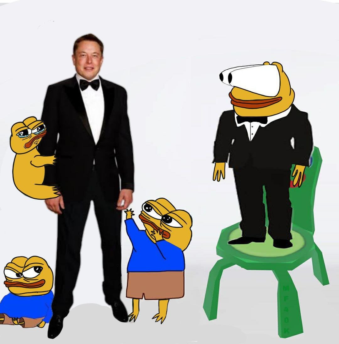 Elon x #PEPE2 the king of memes #X