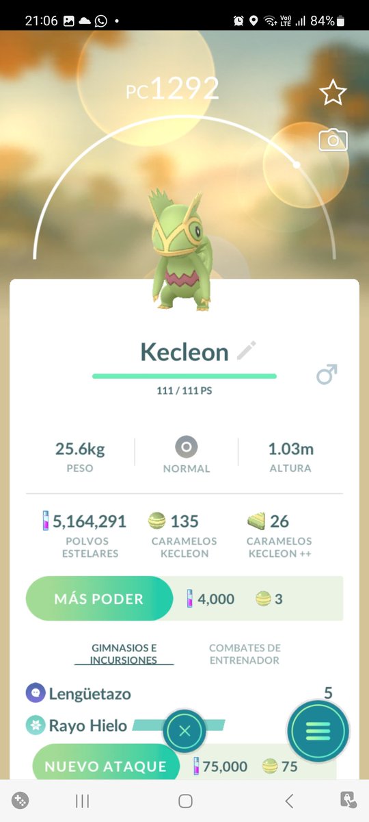 evelyndenile's tweet image. Pregunta: alguien sabe cómo es el sistema de los kecleon? Cuánto tiempo se quedan en la parada? O donde puedo averiguarlo? Me pasó que uno desapareció muy rápido cuando antes recuerdo que se quedaban más tiempo.
#pokemongo #kecleon