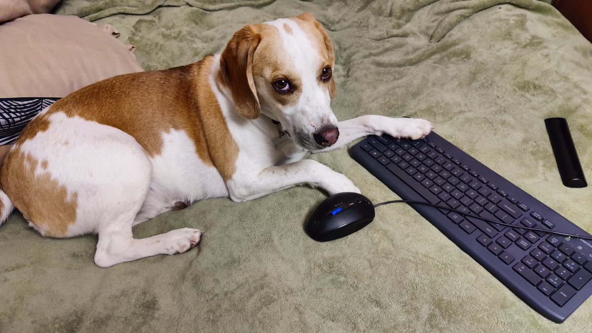 tokyothrowdownn's tweet image. "The market is pretty ruff,
but I gotta get those crates in ASAP"

🚫💤

@Magically_gg

#magically #airdrop