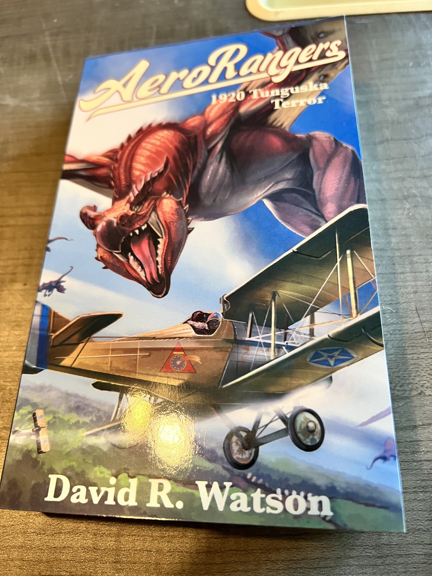 Book cover with a dragon attacking a biplane.