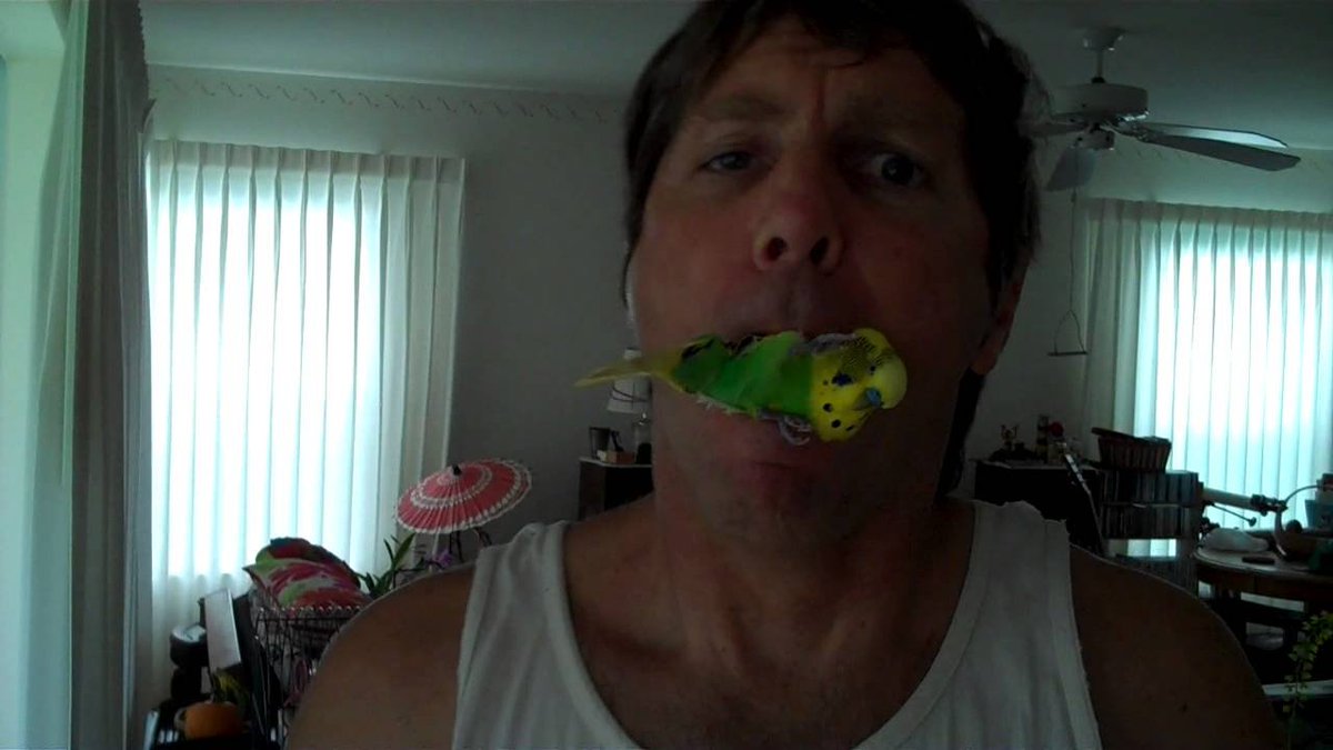 meamwayne's tweet photo. #RejectedLibraryBooks I Know How the Caged Bird Tastes https://t.co/HRZYOm3DBS