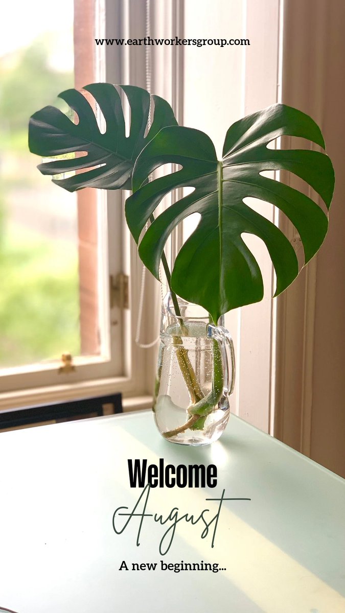 Thank You, Lord, for the beginning of a new month.I pray that You would be with us, leading and guiding us, teaching and drawing us ever closer to each other and to Yourself. Welcome to August Friends!.