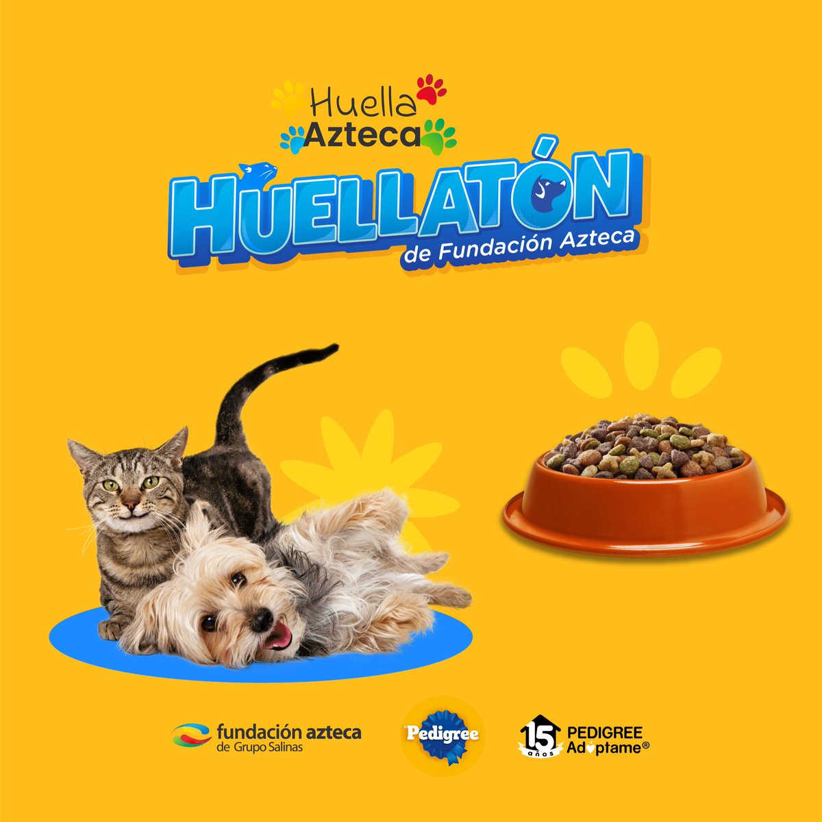 Damos inicio a la primera edición de Huellatón🐾 Huella Azteca de la mano con PEDIGREE®️ una marca orgullosamente de @marsmexico_ ,buscamos ayudar a 40 organizaciones dedicadas al cuidado de lomitos y michis Da click en el link para leer la convocatoria👇 forms.gle/xGfiGwoWwejhKD…