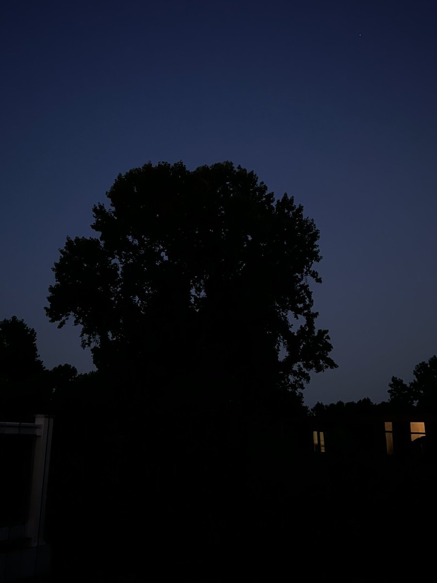 InSAMMityy_'s tweet photo. Peep all the hearts in this tree 💗 https://t.co/DU2rjGAgvo