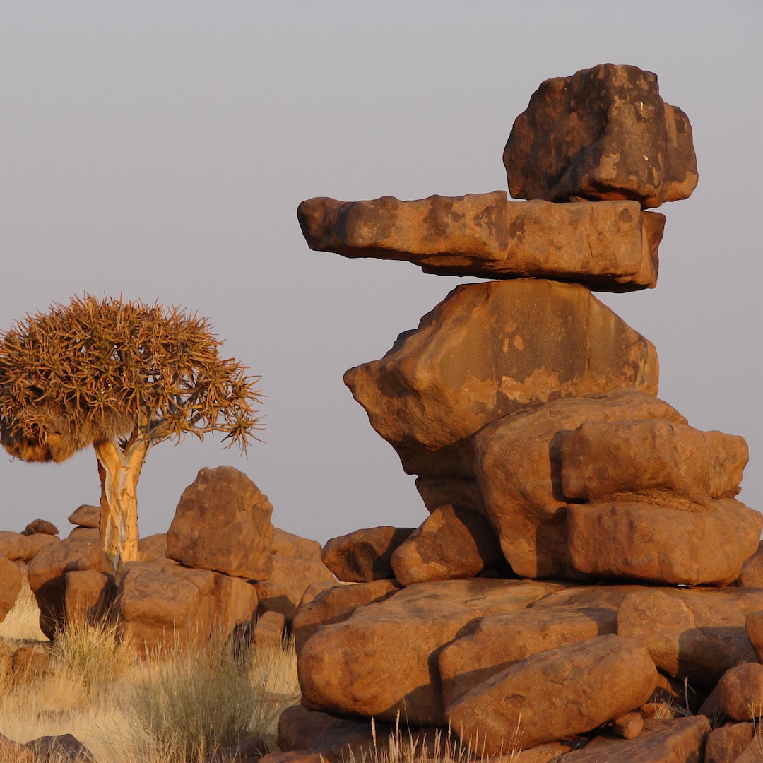 omgitsderek's tweet image. Navigating AI, decoding algorithms, and giving piggyback rides. New-gen, single-dad, content creator hustle. How do you balance tech and family? Share tips! Here to learn, laugh, live! #TechDadLife 💻👨‍👦 (259 characters)