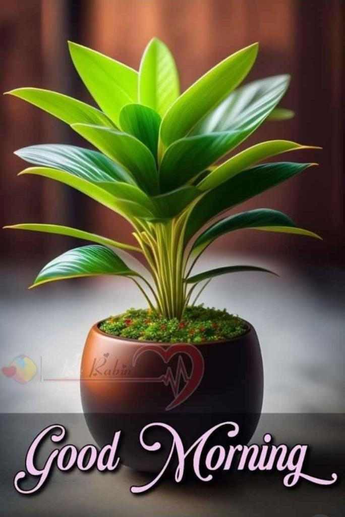 NOYON SHEIKH (@furtibuzzlnoyon) on Twitter photo 