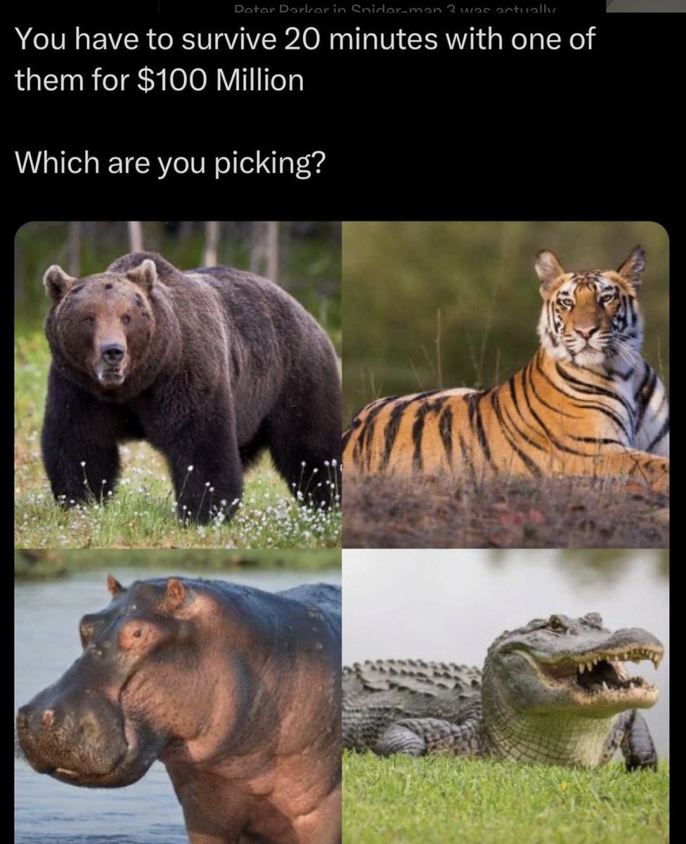 Men's Humor tweet media