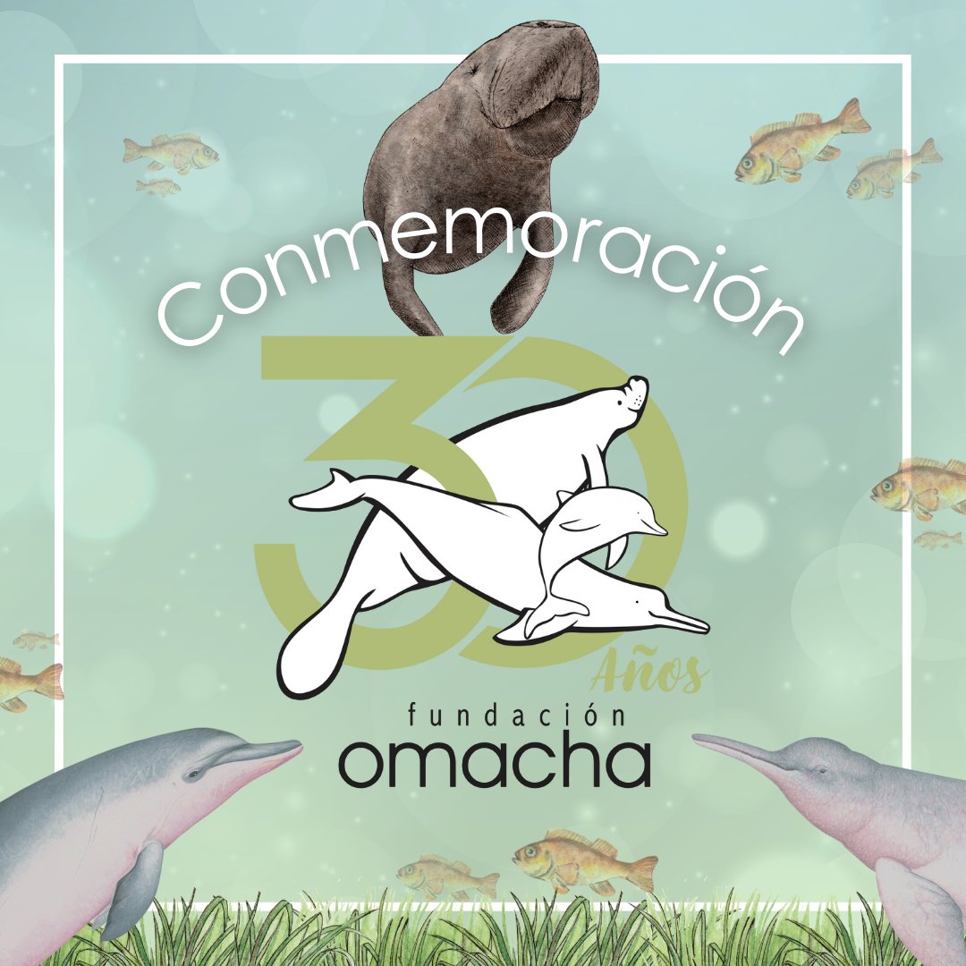 ¡Queremos hacerlos parte de nuestra conmemoración de 30 años! 🎉

Hoy, 03 de Agosto se cumplen 30 años de trabajo continuo por la conservación de la biodiversidad. 

Gracias a los esfuerzos de nuestro Director Científico Fernando Trujillo es que hoy podemos decir: #SomosOmacha 💚