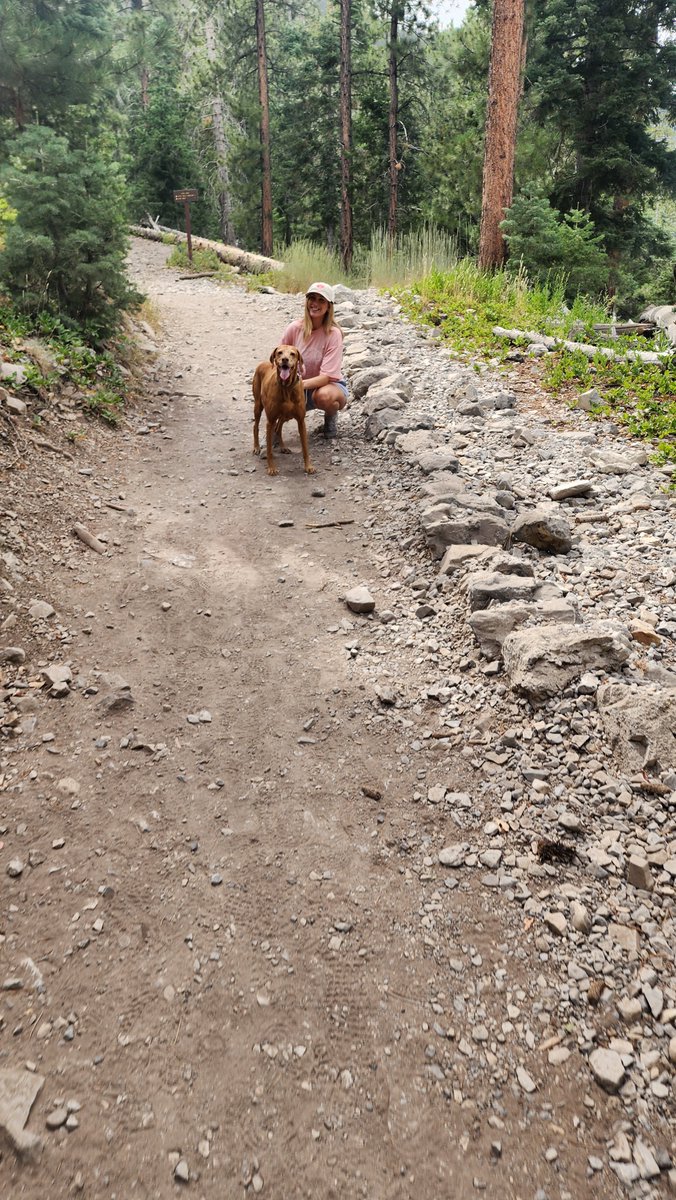 chicklitplus's tweet photo. Got to explore more mountains with Aries this weekend ๐ #dogcation https://t.co/MTCeDYeDTr