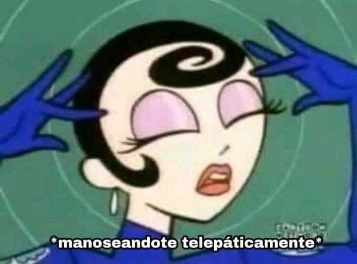 meli 📚 tweet media