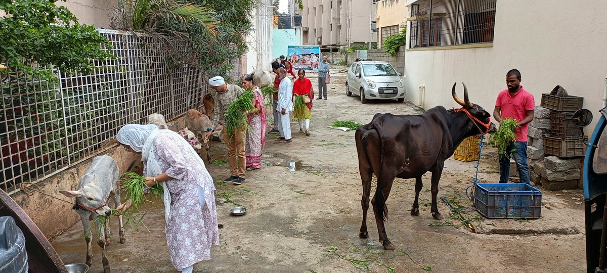 AshramBlr's tweet photo. Sant Shri Asharamji Bapu #Ashram #Bengaluru organized #GauGrass Seva program at Nandini Gaushala Banashankari #Bangalore on 29.07.23 with a motive to serve cows who actually serves us in various ways.
📰News Coverage- https://t.co/8BuXphuQpc
📜Seva Post- https://t.co/HUAjZiDeF4 https://t.co/Ma8FGt4YoK