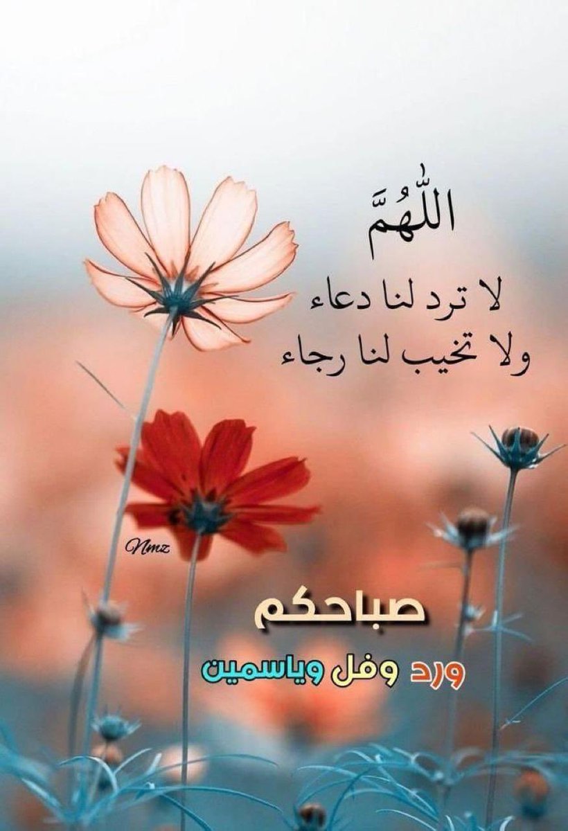 صباح الخير 🌹🌹