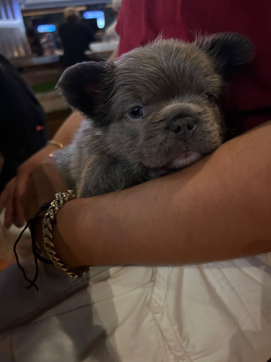 trushadecollect's tweet photo. Fluffy? https://t.co/ZVoJAA6qKD