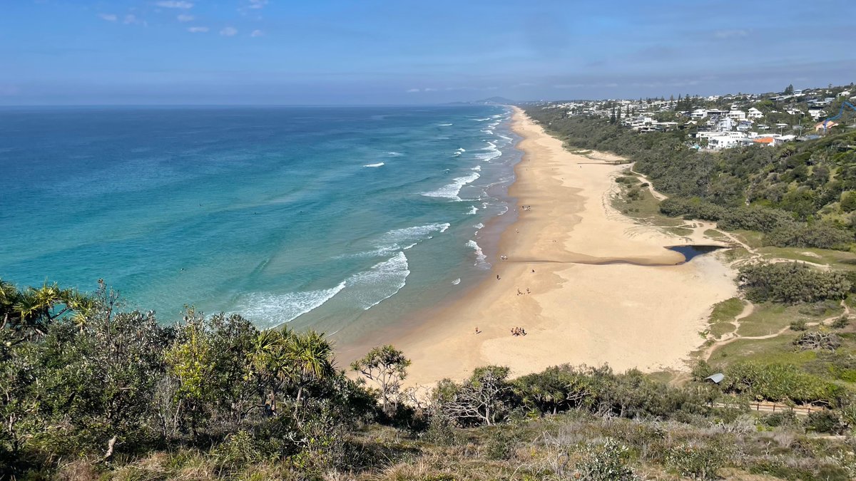 Mitchell Harley tweet media