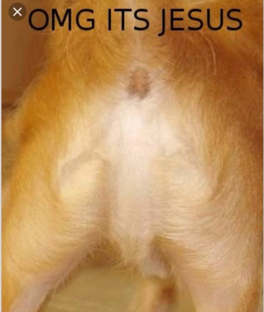 AncientNightmare tweet media