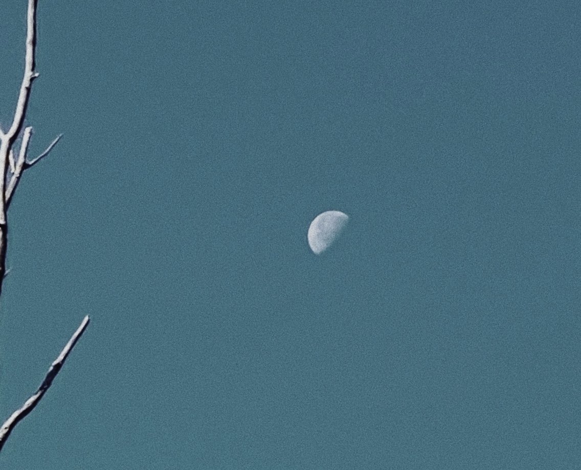 greenwitchbish's tweet photo. some of my personal favourites i’ve taken of the moon 🌙 📸 https://t.co/nnVIkR8arA