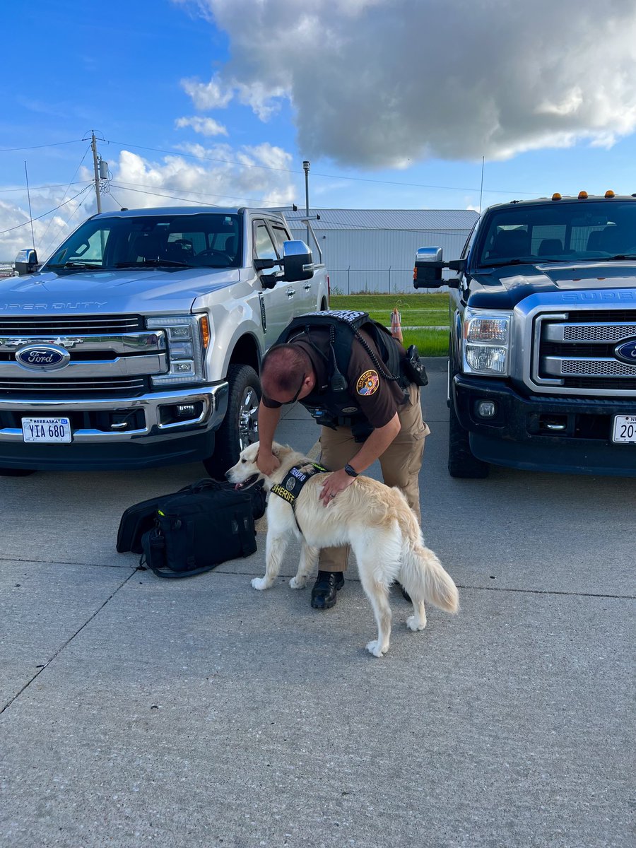 Henry the Wonderdog tweet media