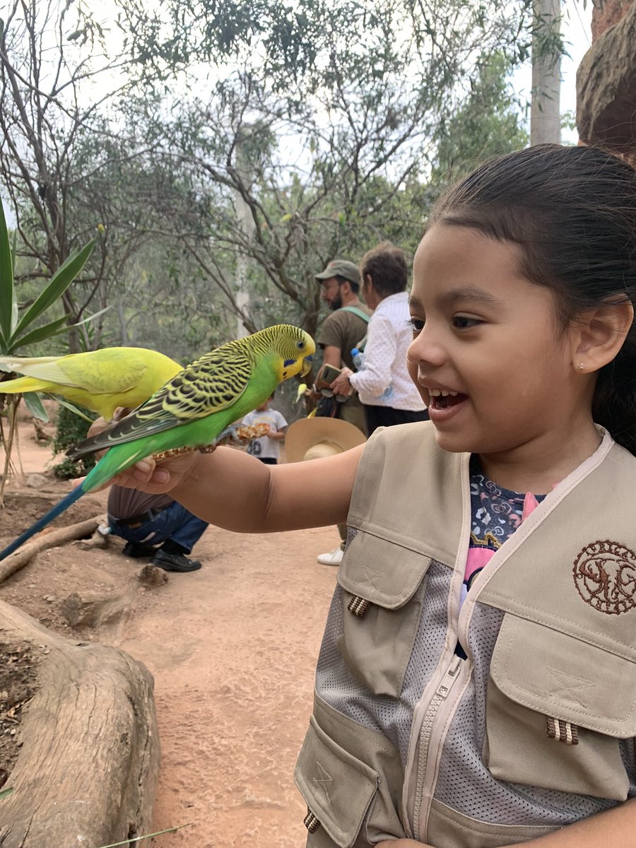 Dnice I. Meza tweet media