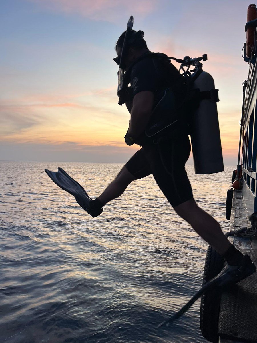 i'm on twitter almost exclusively for gaming news and community interaction, but i also miss scuba diving so much 🥹 it's been almost 5 months since our last dives and i hope they won't be the last ones for the rest of the year 🤙🏼🤿 #scubadiving #padi #kohtao @blackturtledive