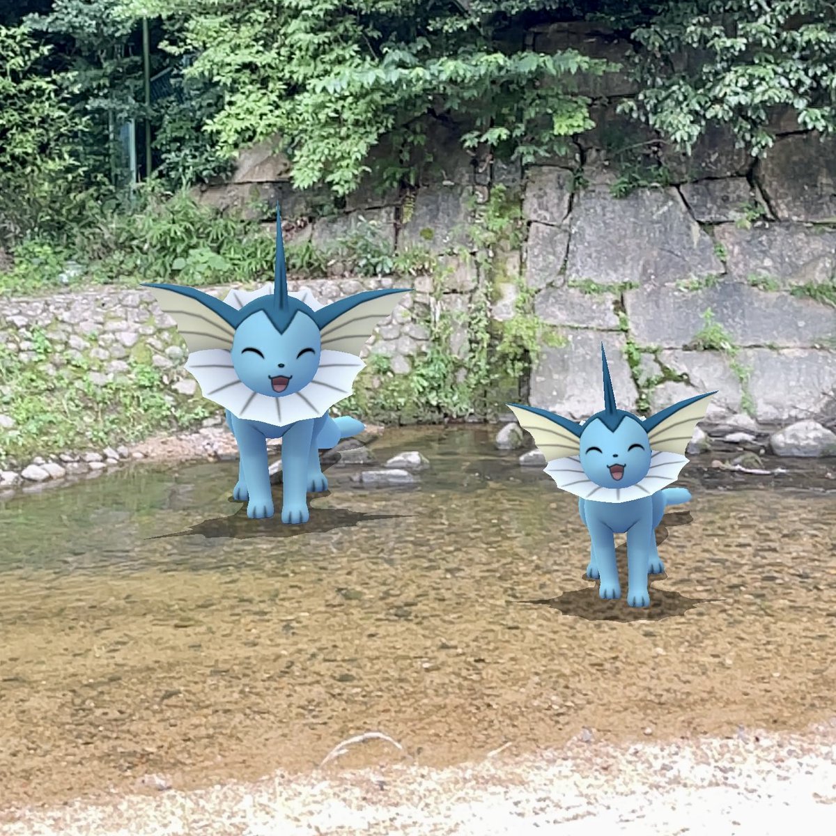 シャワーズ