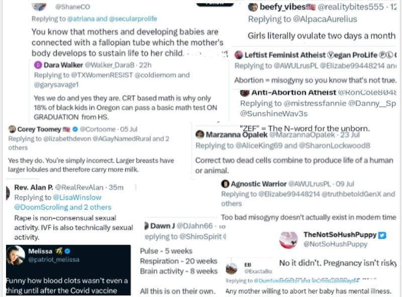 Dumfukdetector 🇺🇸🏳️‍🌈 tweet media