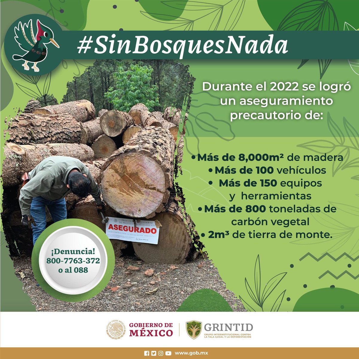 SEMARNAT_mx's tweet photo. A través de #GRINTID seguimos trabajando para la protección y conservación de los bosques de México. 🌲🌳🪵

📌 Durante el 2022 se logró un aseguramiento precautorio de 👇🏽.

#SinBosquesNada https://t.co/yABK8xwXs8