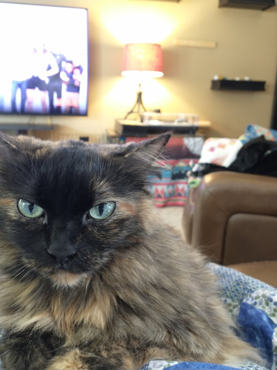heyholly's tweet photo. @bunsenbernerbmd https://t.co/Kk91JVRktT