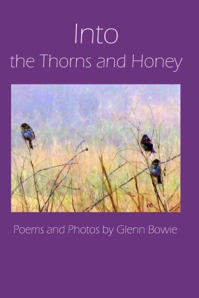 glenn_bowie's tweet photo. @davepperlmutter My two published books of poetry and photography on Big Table Publishing all proceeds benefiting Homeless and Animal shelters in New England https://t.co/0YlPYXaBCt
