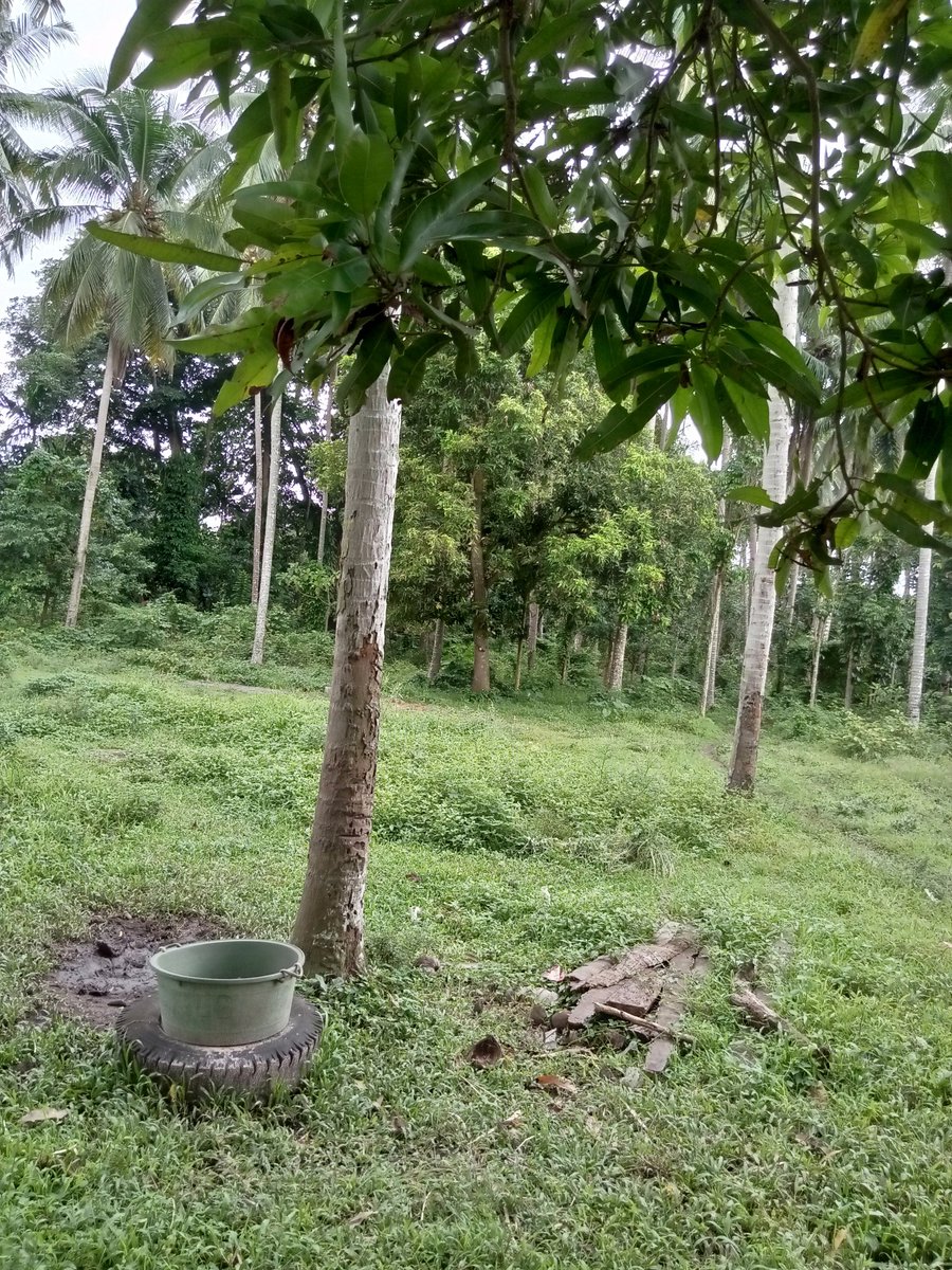 Peaceful place