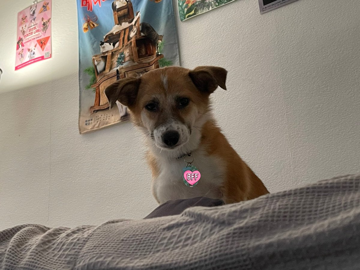 곰지 샐쭉 모먼트나 보고가셔요.. 
엑스라니.. 나에 작은 파랑새야..